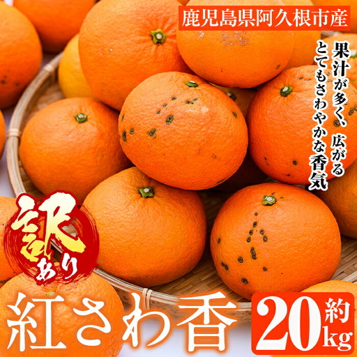[先行予約受付中!2027年2月上旬以降順次発送予定]訳あり 紅さわ香(約20kg) 国産 鹿児島県 阿久根市 果実 果物 フルーツ 柑橘 みかん ミカン 紅甘夏 期間限定 数量限定 [桐野柑橘株式会社]akn070-19
