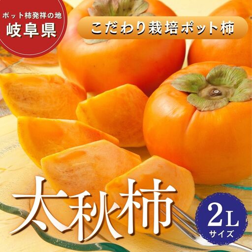 【先行予約】こだわり栽培ポット柿（太秋柿） 2Lサイズ12個入り ※離島への配送不可  ※2026年10月中旬～11月上旬頃に順次発送予定