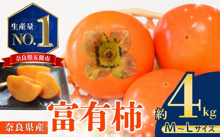 濃厚な甘み! 富有柿 約 4kg (MまたはLサイズ) 