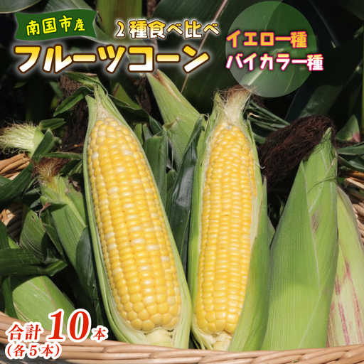 【2027年先行予約】とうもろこし 2種食べ比べ 合計10本 (イエロー バイカラー) とうもろこし フルーツコーン