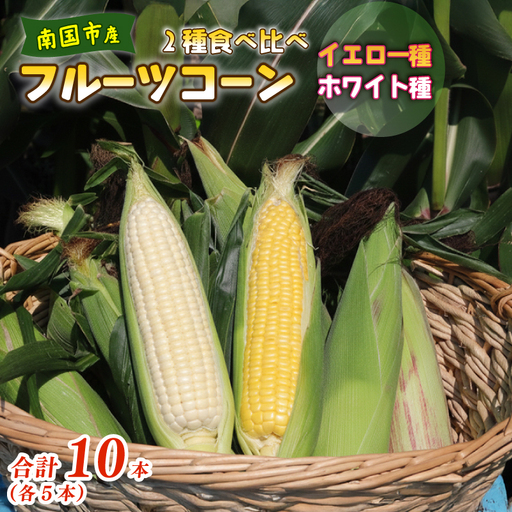 [2027年先行予約]とうもろこし 2種食べ比べ 合計10本 (イエロー ホワイト) とうもろこし フルーツコーン