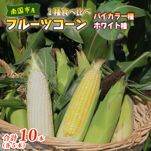 [2027年先行予約]とうもろこし 2種食べ比べ 10本(バイカラー ホワイ)とうもろこし スイート コーン