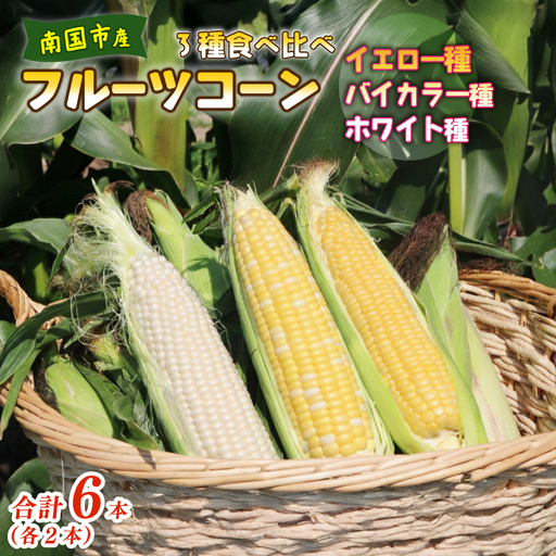 [2027年先行予約]とうもろこし 3種食べ比べ 6本 (イエロー バイカラー ホワイト) とうもろこし フルーツコーン