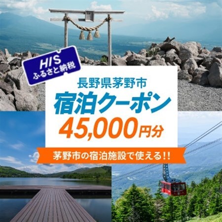 HISふるさと納税宿泊予約専用クーポン(長野県茅野市)45,000円分【1698141】