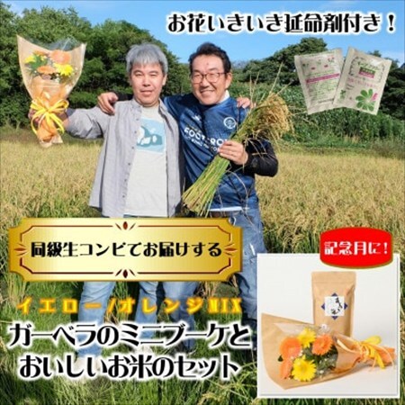 12月発送!同級生コンビでお届け　ガーベラMIXブーケとおいしいお米のセット・お花長持ち栄養剤付き!【1706319】