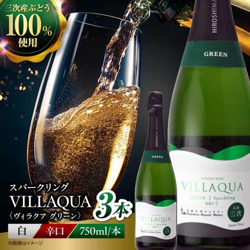 VILLAQUA -グリーン- 750ml×3本 [APAZ153] ワイン