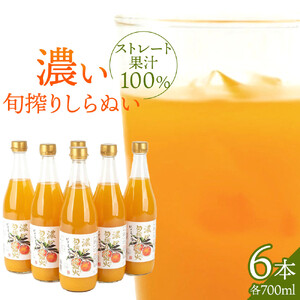 濃い旬搾りしらぬい 700ml 6本入り