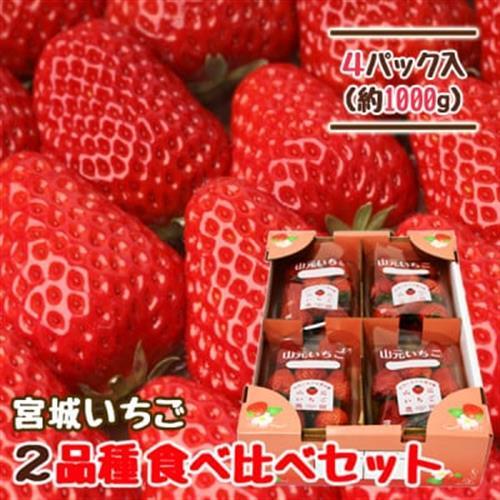 山元いちご農園 宮城いちご 2品種食べ比べセット 4パック【配送不可地域：離島・北海道・沖縄県・信越、北陸・近畿・中国・四国・九州】【1693714】