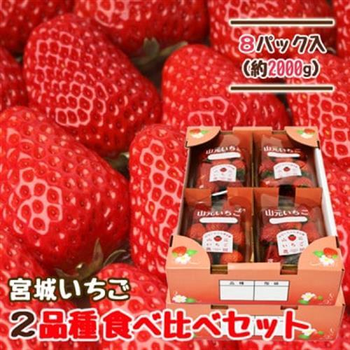 山元いちご農園 宮城いちご 2品種食べ比べセット 8パック【配送不可地域：離島・北海道・沖縄県・信越、北陸・近畿・中国・四国・九州】【1693722】
