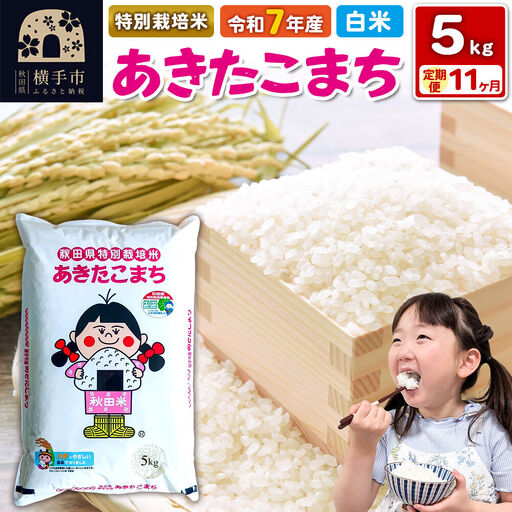 令和7年産【白米】《定期便11ヶ月》特別栽培米 あきたこまち 5kg 秋田県 横手市