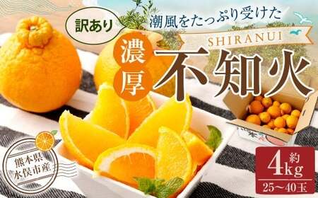 【訳あり】 ご家庭用 濃厚不知火 10～20玉 （ 約4kg ） デコポン みかん 柑橘 果物 フルーツ 熊本 【2027年2月下旬-3月上旬発送予定】