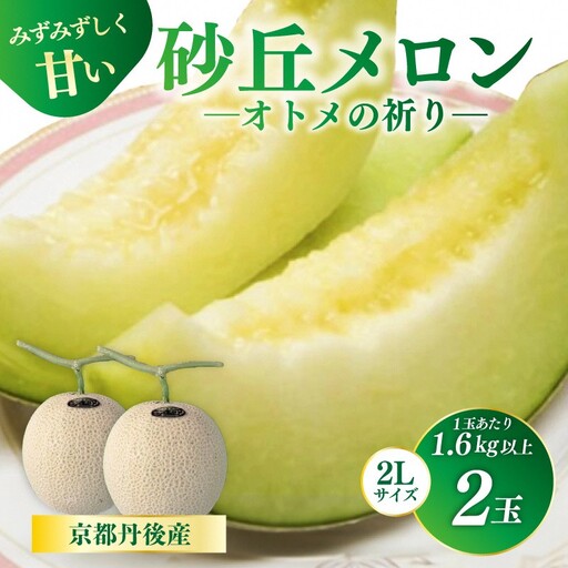 砂丘メロン【オトメの祈り】2Lサイズ／2玉入（2026年7月中旬～発送）