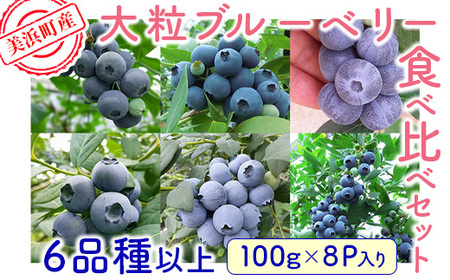 [2027年先行予約]美浜町産大粒ブルーベリー 食べ比べセット 6品種以上 約100g×8パック ※2027年6月上旬〜下旬頃に順次発送