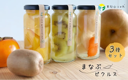東松山市産 まなぶピクルス 3種 | ピクルス