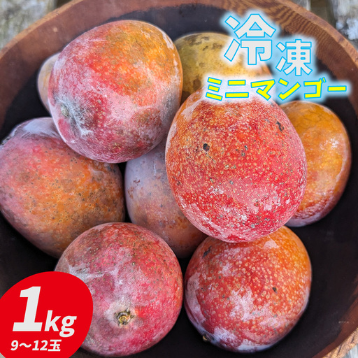マンゴー 久米島赤鶏牧場 完熟!冷凍ミニマンゴー1kg(9〜12玉) アーウィン