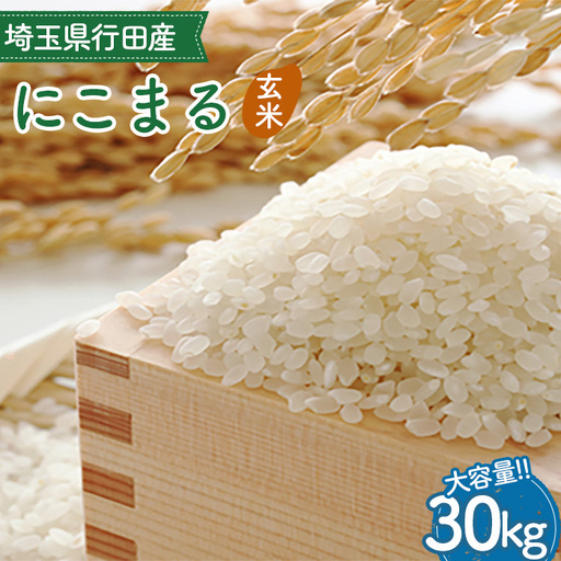 埼玉県行田産にこまる（玄米）30kg×1 ／ にこまる 玄米 30kg たっぷり 大容量 たくさん ボリューム 特別栽培米 大粒 米 甘み 粘り 冷めても美味しい お弁当 おにぎり 毎日食べる米 健康志向 食感 粒立ち 埼玉県 No.523