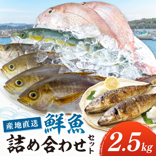御坊産 鮮魚セット2.5kg【配送不可地域】沖縄・北海道・東北・九州【0007-3】