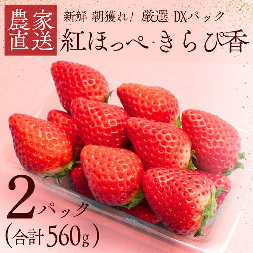【先行予約＿2027年出荷分】いちご 厳選いちご 280g×2パック
