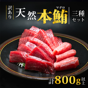 【スピード発送】 訳あり 天然本まぐろ 赤身中トロ大トロセット800g まぐろ