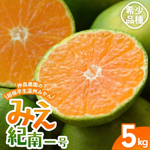 みかん 超極早生温州みかん みえ紀南一号 約5kg【nkmr0012】