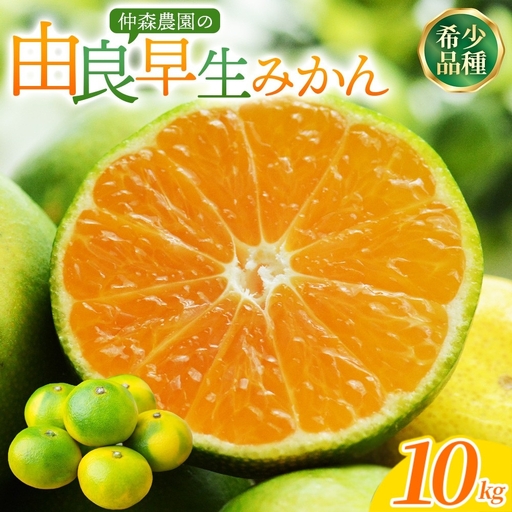 みかん 由良早生みかん 約10kgnkmr0022】