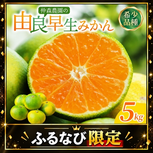 みかん 由良早生みかん 約5kg【nkmr0020】