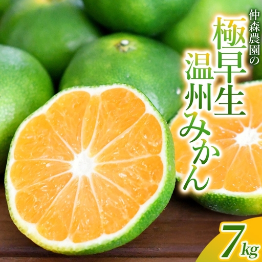 みかん 極早生温州みかん 約7kg【nkmr0017】