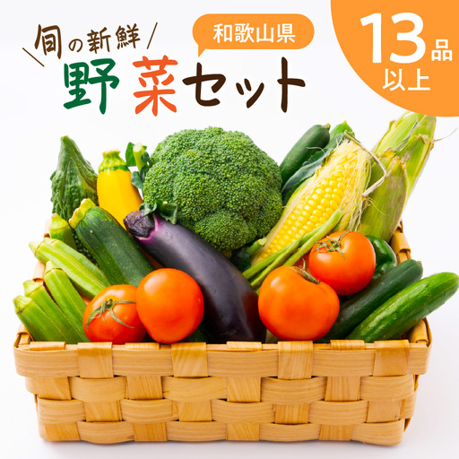 【0054-3】旬の新鮮野菜セットたっぷり13種以上