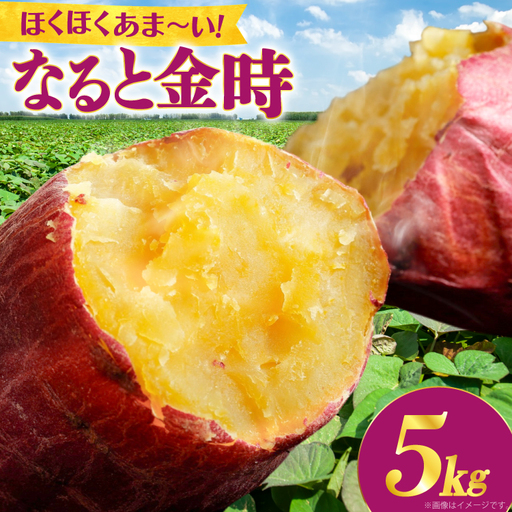 大人気！ さつまいも  なると金時 5kg