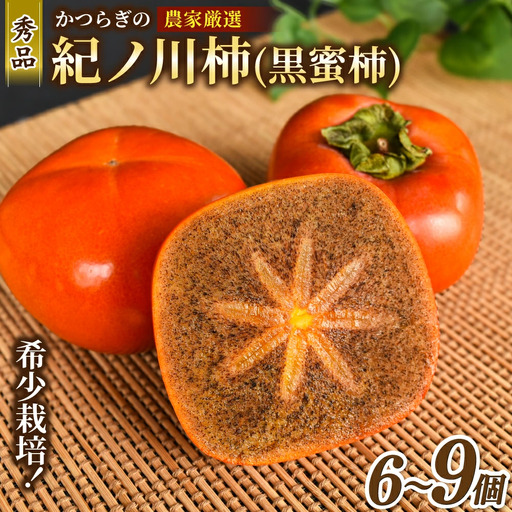 先行予約! 紀の川柿 (果実の中身が黒い!黒蜜柿)希少栽培! 秀品6個〜9個 こだわり農家厳選![※2026年10月上旬から11月上旬頃発送]/ 和歌山県 かつらぎ町 カキ 太秋柿 紀ノ川 富有柿 早秋 秀品 紀の川 かき フルーツ 旬 秋[kgr044]