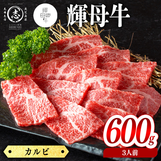 輝母牛焼肉用(カルビ)(3人前600g/600g×1個) b9-005