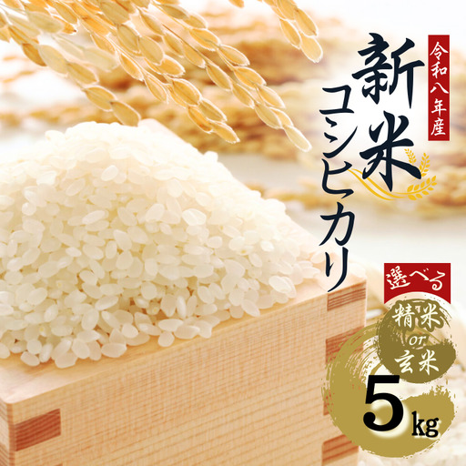 【令和８年産】先行予約受付中！水野農園の加須市北川辺産　コシヒカリ　5㎏　《選べる！精米or玄米》｜お米　米　令和８年　こしひかり　新米