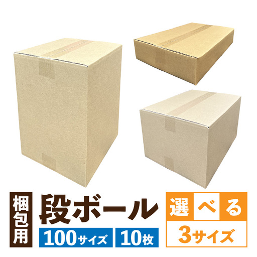 梱包用段ボール 100サイズ 10枚  梱包用 段ボール セット 選べる サイズ 規格 コンパクト 扱いやすい 段ボール箱 梱包 衣類 収納 片付け 整理 DIY 工作 荷物 引っ越し 防災 備蓄 便利 フリマ 通販 配送 荷造り お取り寄せ 愛知県 小牧市 送料無料 [206A02]
