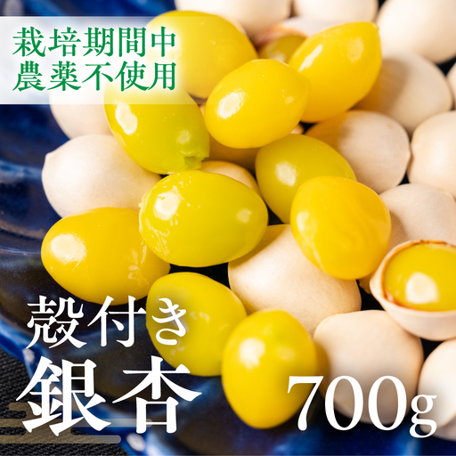 先行予約受付中 ふっくら銀杏 700g|銀杏