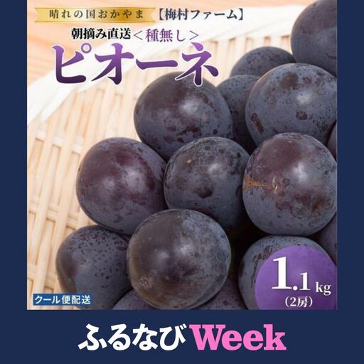 【ふるなびWEEK対象】【2026年発送分 先行予約】【梅村ファーム】朝摘み直送 ピオーネ（2房入り 1.1kg以上）【030-a020】