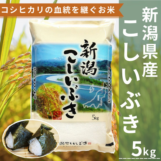 【令和8年産新米予約】新潟産こしいぶき 5kg コシヒカリの美味しさを受け継ぐ 白米 精米 コシヒカリ系 早生品種 米 ごはん ライス ブランド米 お米マイスター 井上米穀店 新潟県 こめ コメ 新米 新米予約 令和8年度産 10月上旬より順次発送予定 1I28010