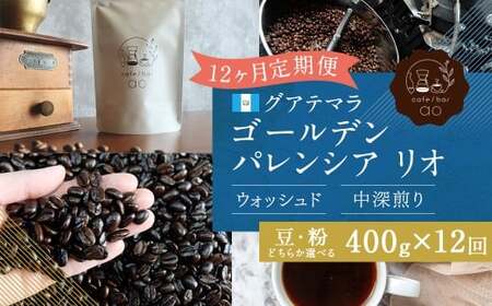 【豆】 【12か月定期便】 グアテマラ ゴールデンパレンシア リオ ウォッシュド （中深煎り） 400g コーヒー 珈琲 豆 まめ マメ