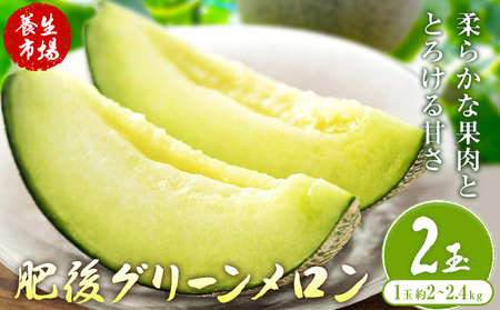 肥後グリーンメロン 約2-2.4kg×2玉[養生市場] 有限会社七城町特産品センター熊本県 菊池市 メロン グリーンメロン 果物 フルーツ 熊本県産 送料無料