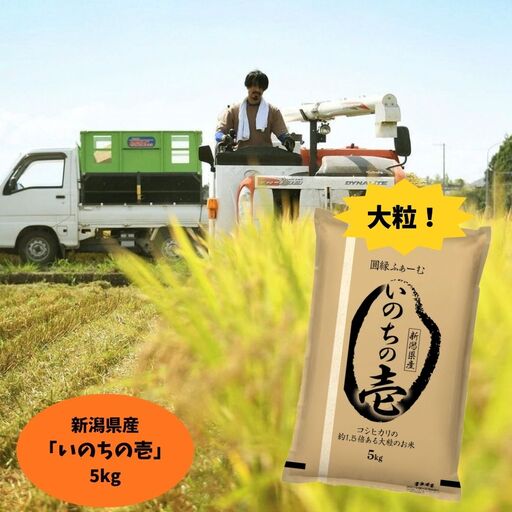 【令和7年産】新潟県阿賀野市産 いのちの壱 5kg 米 こめ コメ 白米 精米 3D12020