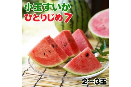 和歌山産小玉すいか ひとりじめ7（2～3玉）≪先行予約2027年5月下旬頃から順次発送予定≫【0140-4】