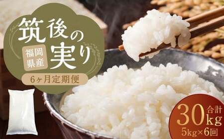【6回定期便】 筑後の実り 5kg×6回 定期便  米 白米 ブレンド ご飯 国産 贈り物 定期便 福岡県 筑後市