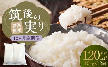 【12回定期便】 筑後の実り 10kg×12回 定期便  米 白米 ブレンド ご飯 国産 贈り物 定期便 福岡県 筑後市