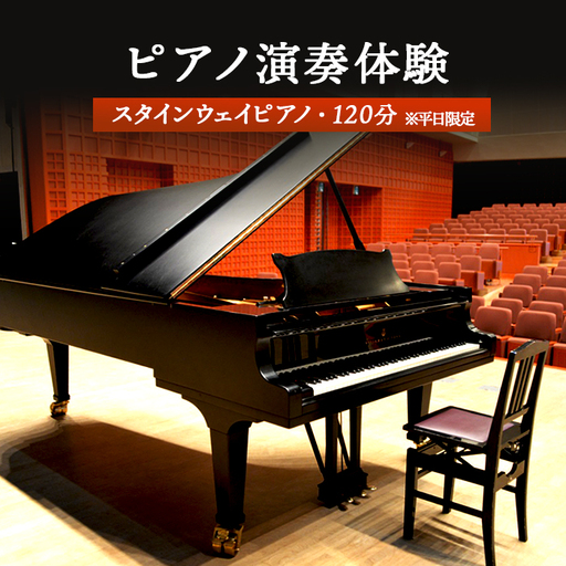 スタインウェイピアノ試弾券（120分）　※平日限定（午前９時～午後９時）【2100101】