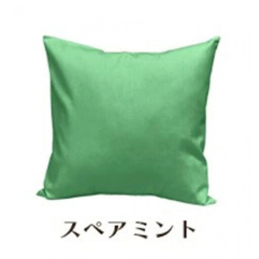 「染」2枚組クッションカバー 45×45cmタイプ スペアミント 国産オックスフォード生地 無地