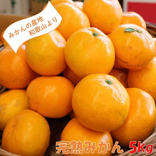 【0204-3】和歌山の完熟みかん5kg 紀州日高地方からお届けします!≪先行予約≫