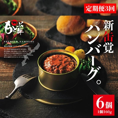 ハンバーグ【定期便3回】もとぶ牧場PREMIUMハンバーグ缶ギフト (160g×6個) 