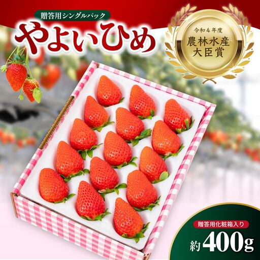 いちご やよいひめ 贈答用 シングルパック 約400g入りトレー いちご