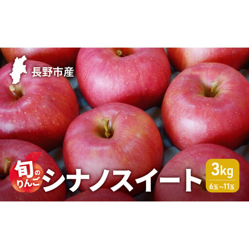2026年発送 長野市産 旬のりんご シナノスイート3kg 6玉〜11玉 りんご リンゴ 果物 フルーツ 秋