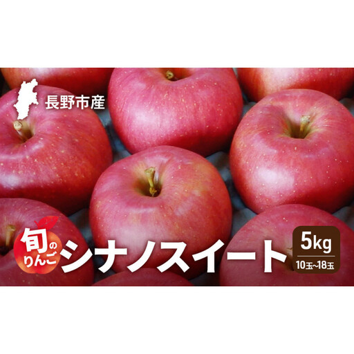 2026年発送　長野市産　旬のりんご　シナノスイート5kg　10玉～18玉 りんご リンゴ 果物 フルーツ 秋