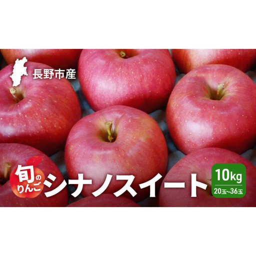 2026年発送　長野市産　旬のりんご　シナノスイート10kg　20玉～36玉 りんご リンゴ 果物 フルーツ 秋